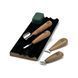 Gouge set AYU-STRYI Start for beginners for geometric carving