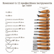 Set of gouges AYU-STRYI Profi 12 pcs for geometric carving