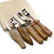 Gouge set STRYI Profi for carving spoons, kuksas and other wooden items
