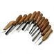 Gouge set STRYI Profi for artistic wood carving, 12 pcs